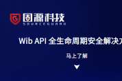 Wib API 全生命周期安全解決方案，保護 APls 的最佳方法